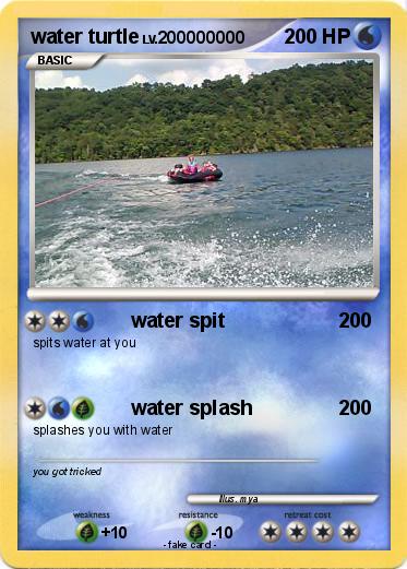Pokemon water turtle
