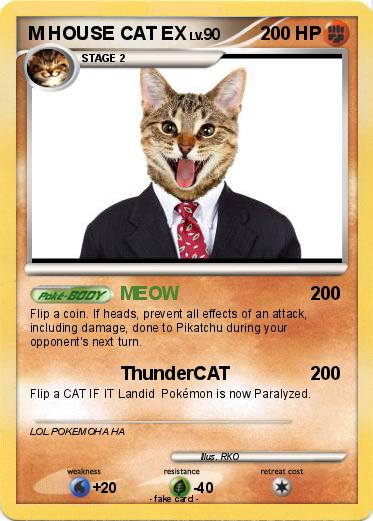 Pokemon M HOUSE CAT EX