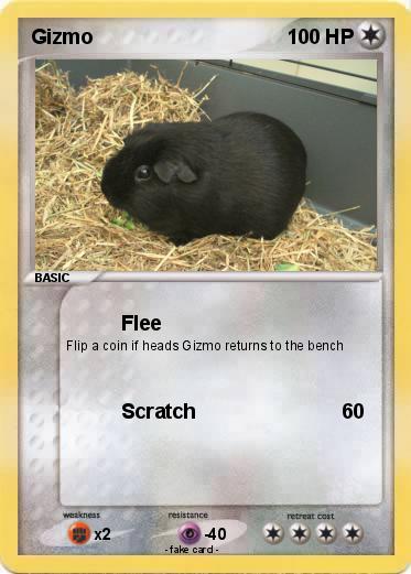 Pokemon Gizmo