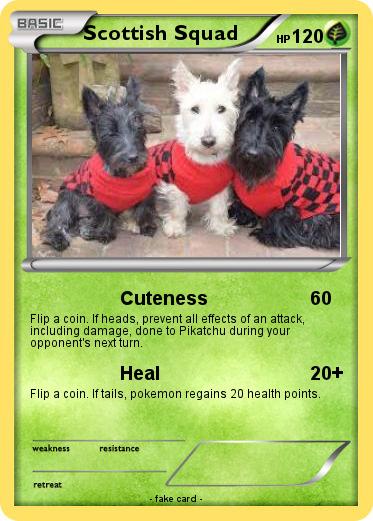 Pokemon Scottish Squad