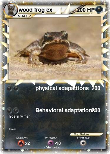 Pokemon wood frog ex