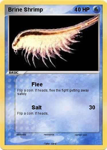 Pokemon Brine Shrimp
