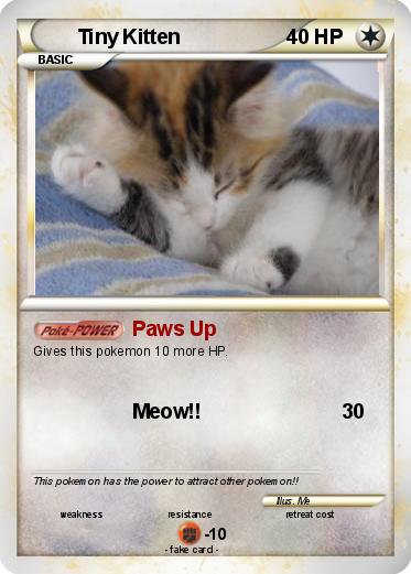 Pokemon Tiny Kitten