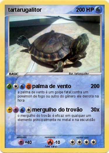 Pokemon tartarugalitor