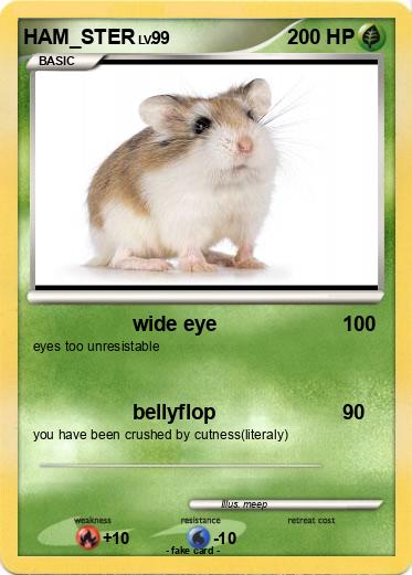 Pokemon HAM_STER