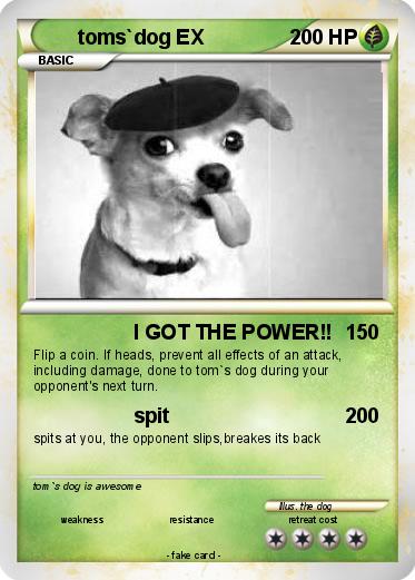 Pokemon toms`dog EX