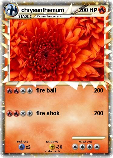 Pokemon chrysanthemum