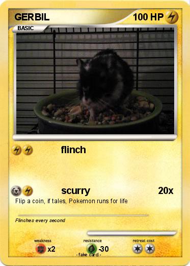 Pokemon GERBIL