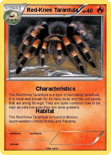 Pokemon Red-Knee Tarantula