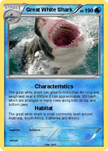 Pokemon Great White Shark