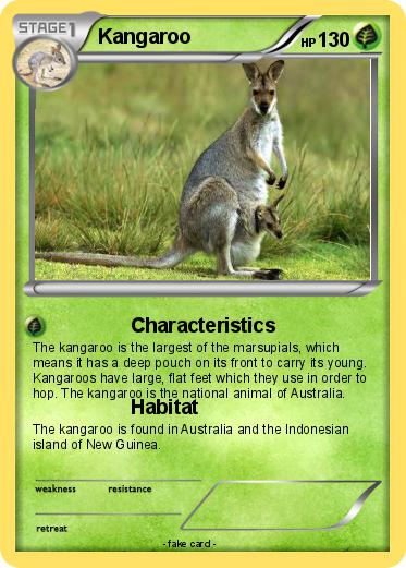Pokemon Kangaroo