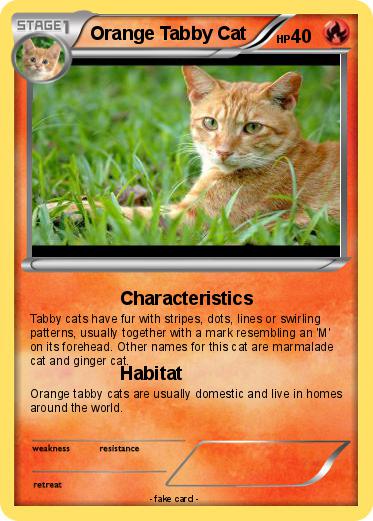 Pokemon Orange Tabby Cat
