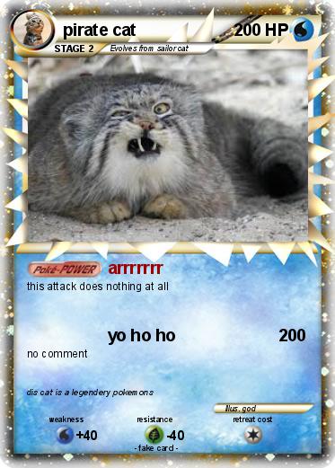 Pokemon pirate cat