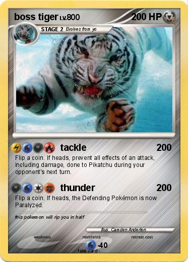 Pokemon boss tiger