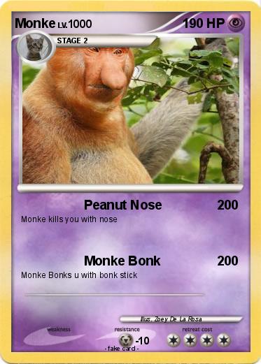 Pokemon Monke