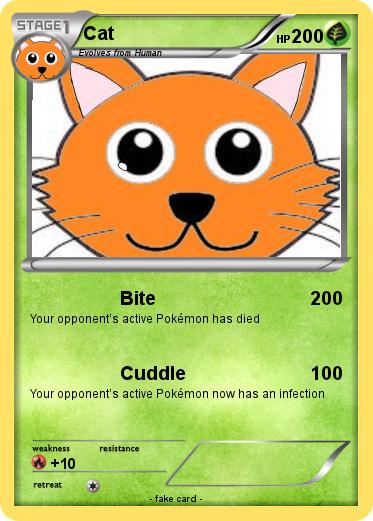 Pokemon Cat