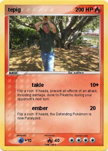 Pokemon tepig