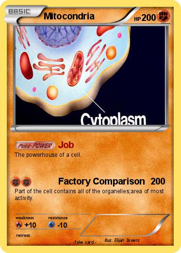 Pokemon Mitocondria