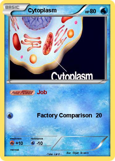 Pokemon Cytoplasm