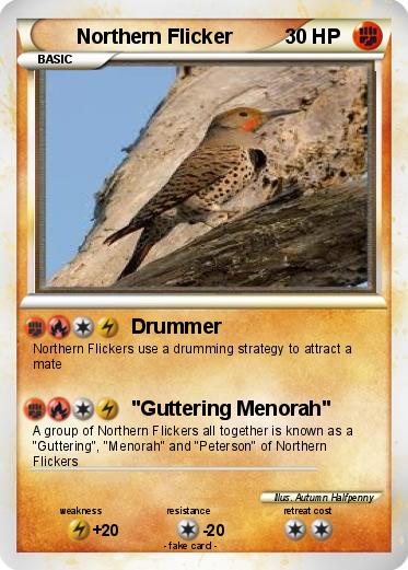 Pokemon Northern Flicker