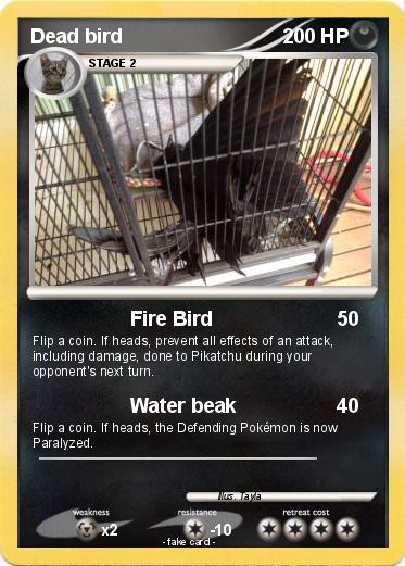 Pokemon Dead bird