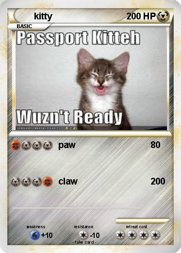 Pokemon kitty