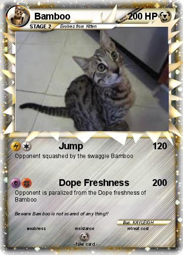Pokemon Bamboo