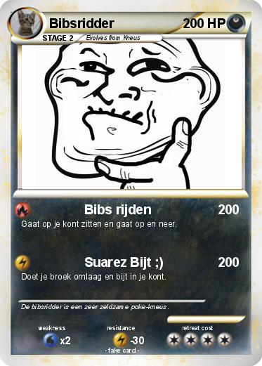 Pokemon Bibsridder