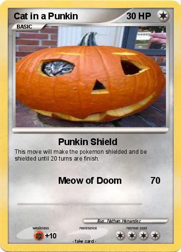 Pokemon Cat in a Punkin