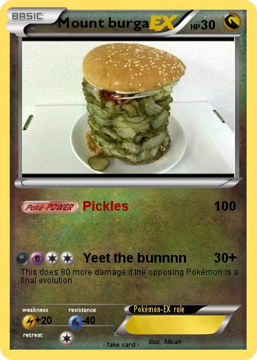 Pokemon Mount burga