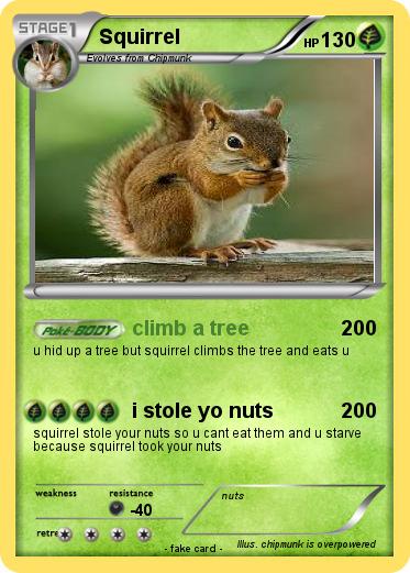 Pokemon Squirrel