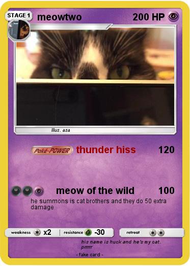 Pokemon meowtwo