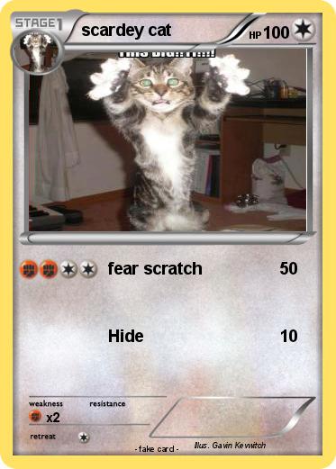 Pokemon scardey cat