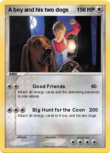 Pokemon A boy and his two dogs
