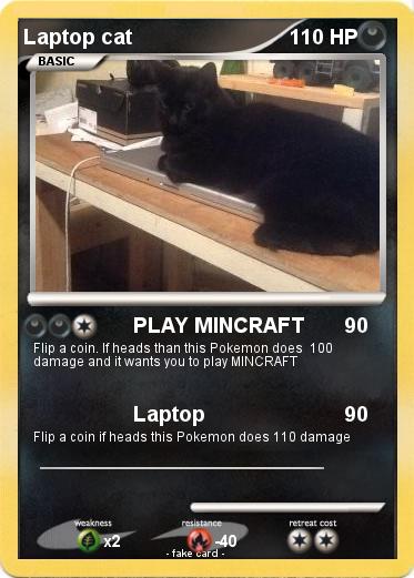Pokemon Laptop cat