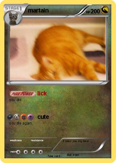 Pokemon martain
