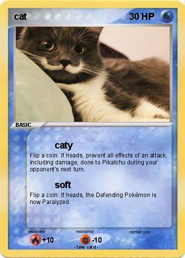 Pokemon cat