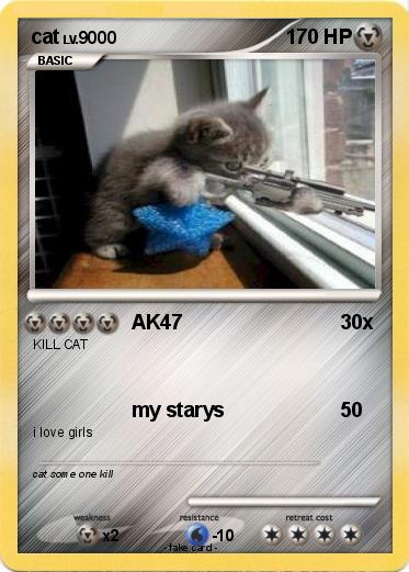 Pokemon cat