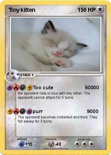 Pokemon Tiny kitten