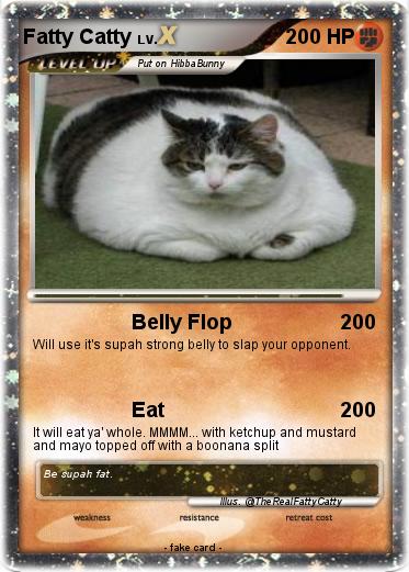 Pokemon Fatty Catty