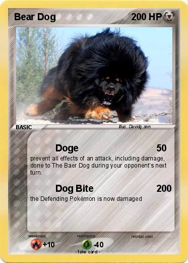 Pokemon Bear Dog