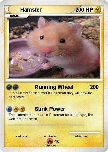 Pokemon Hamster