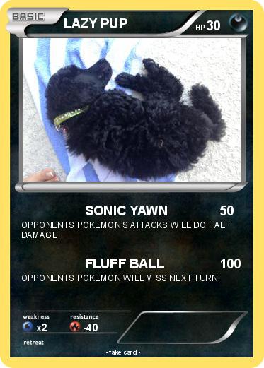 Pokemon LAZY PUP