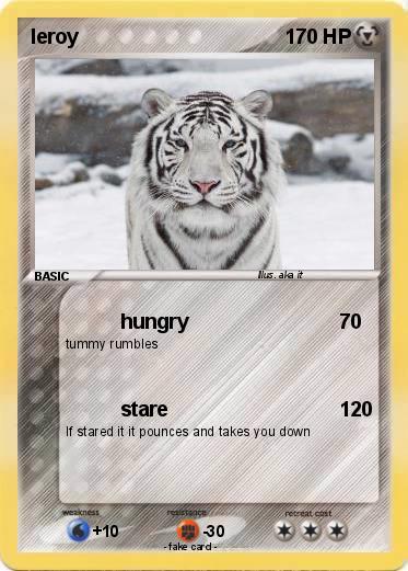 Pokemon leroy