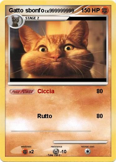 Pokemon Gatto sbonfo