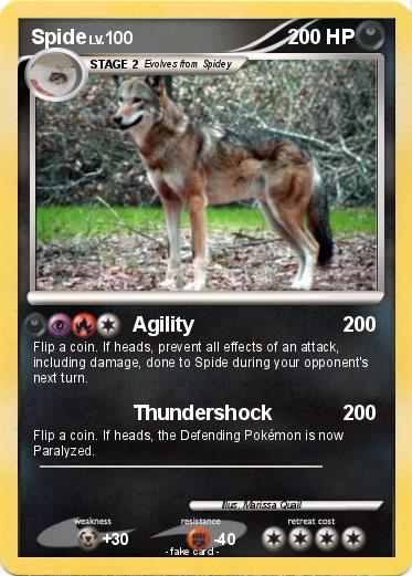 Pokemon Spide