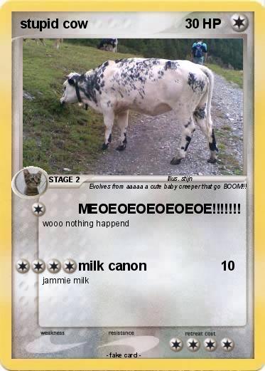 Pokemon stupid cow