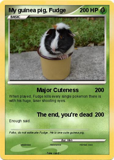 Pokemon My guinea pig, Fudge