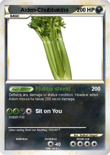 Pokemon Aiden-Chubbakins