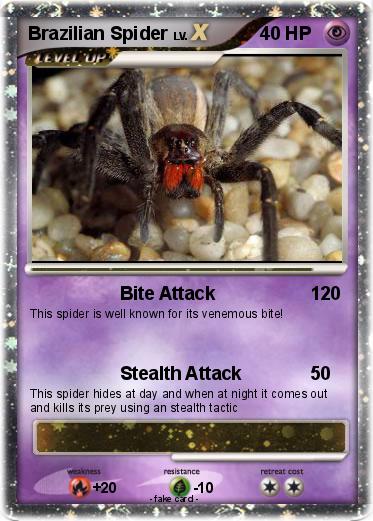 Pokemon Brazilian Spider